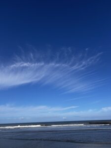 IMG_1616