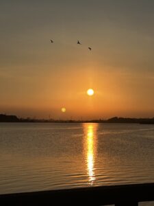 IMG_4785