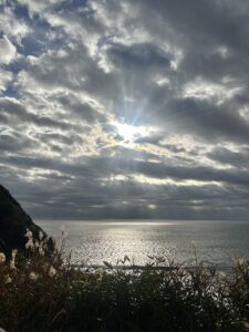 IMG_4951