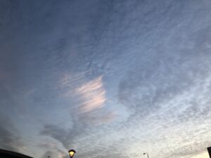 IMG_5115