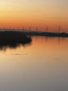 IMG_5279