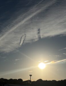 IMG_8829