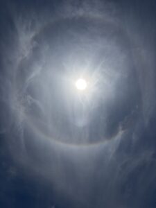 IMG_8886
