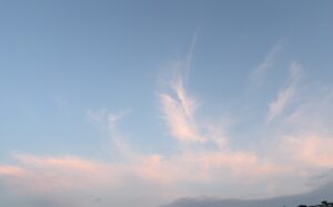 IMG_9042